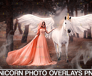 Unicorn digital background & Unicorn overlay