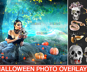 Halloween clipart & Halloween overlay