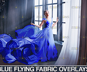 Blue flying dress overlay &  Fabric overlay