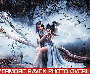 Halloween overlay & Realistic raven clipart