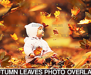 Leaf overlay photoshop & Autumn leaves