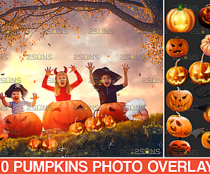 Halloween overlay &  Pumpkin overlay