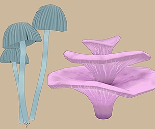 Low-poly Hand-painted Mushroom pack