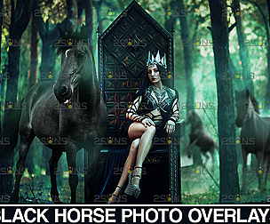Horse png & Horse clipart, Photoshop overlay