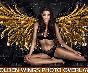 Gold angel wings png & Photoshop overlay