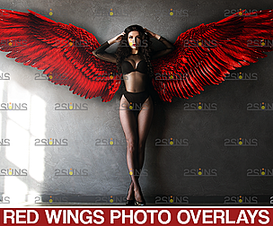 Digital angel wings  & Photoshop overlay