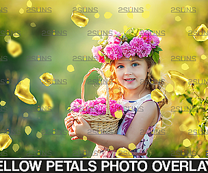 Photoshop overlay: Flower overlays & Rose overlays