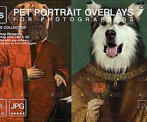 Royal pet portrait & Pet portrait background