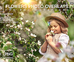 Flower overlay & Photoshop overlay,