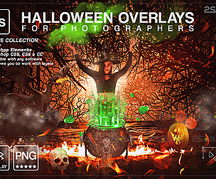 Halloween overlay & Halloween digital backdrop