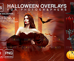 Halloween overlay & Halloween digital backdrop