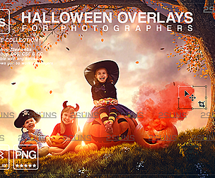 Halloween overlay & Halloween digital