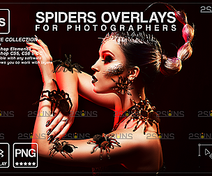 Halloween overlay & Halloween digital