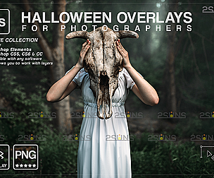 Halloween overlay & Halloween clipart