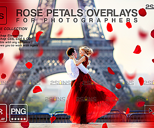 Petal Flower backdrop & Flower overlays