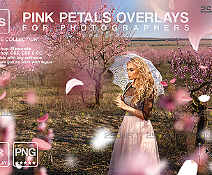 Flower overlays & Photoshop overlay