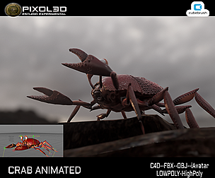 Crab animated