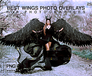Black angel wings overlay & Photoshop overlay