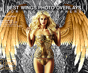 Gold angel wings overlay & Photoshop overlay