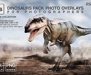 Dinosaur Backdrop: Photoshop overlay,