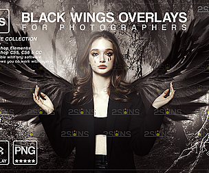 Black angel wings overlay & Photoshop overlay