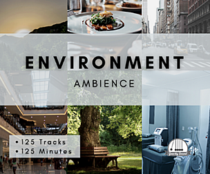 Environment Ambience