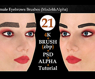21 Female Eyebrows Brushes (Model&Alpha)-vol 1