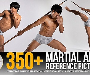 350+ Martial Arts Reference Pictures