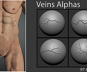 Veins Alphas