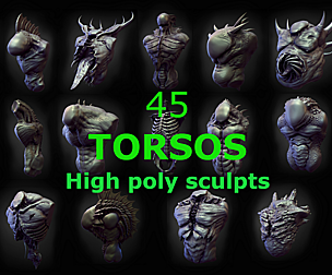 45 TORSOS high poly sculpts