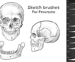 Sketch Brushes for Procreate