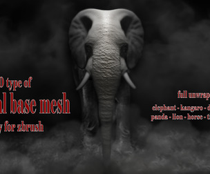 10 type of Animal basemesh