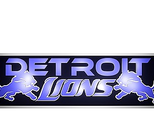 Detroit Lions banner 2