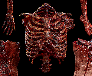 Gore & Horror Props: Vol.1