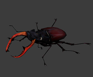 Bug_Black