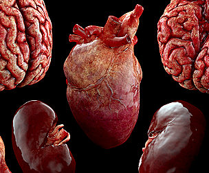 Gore and Horror Props: Vol.3