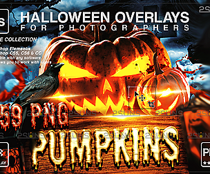 Pumpkins MEGA PACK 159 Halloween overlay