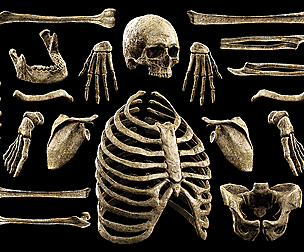 Male Skeleton Props Megapack
