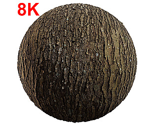 Tree Bark PBR Scan data Texture