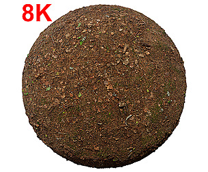 Forest Ground Mixer Pbr Scan Texture