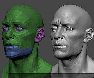 European male head 3d model