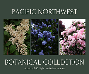 Botanical Collection: Photo Pack