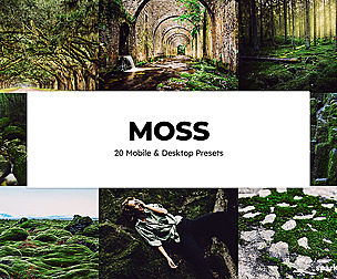 20 Moss Lightroom Presets and LUTs