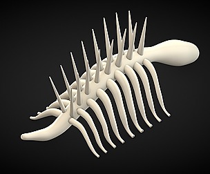 Attack on Titan - Skeleton
