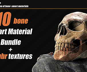 10 Bone Smart Material + 4k PBR Textures_VOL01