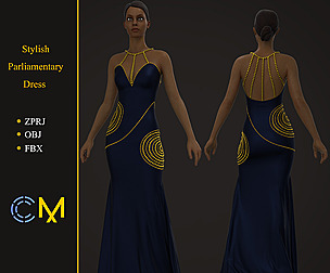 Stylish Parliamentary Dress Marvelous Designer