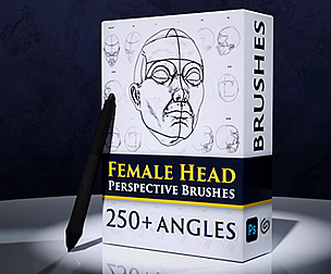 Female Head Perspective Brushes