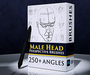 Male Head Perspective Brushes