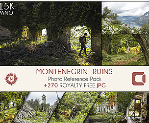 Montenegrin Ruins - Photo Reference Pack
