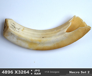Riddler_Necro_Set2
